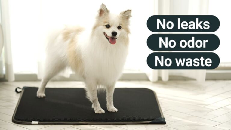 Kickstarter - Rinse, Dry, and Reuse! A New Kind of Sustainable Puppy Pad